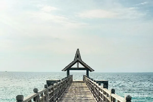 高清摄影 白天棕色木制码头在海边