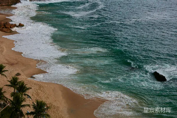 高清摄影 海边棕榈树附近的海浪