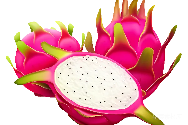 元素素材 火龙果