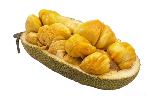 元素素材 jackfruit