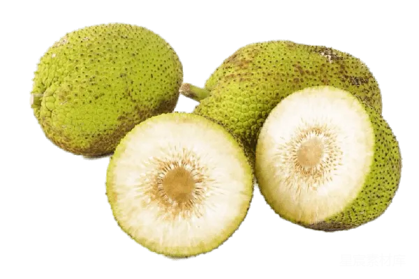 元素素材 jackfruit