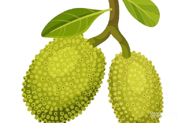 元素素材 透明的
