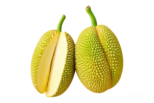 元素素材 Jackfruit