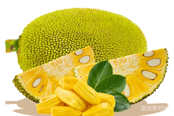 元素素材 新鲜菠萝蜜切片