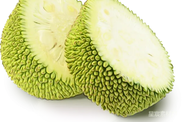 元素素材 jackfruit