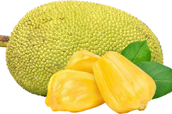 元素素材 菠萝蜜