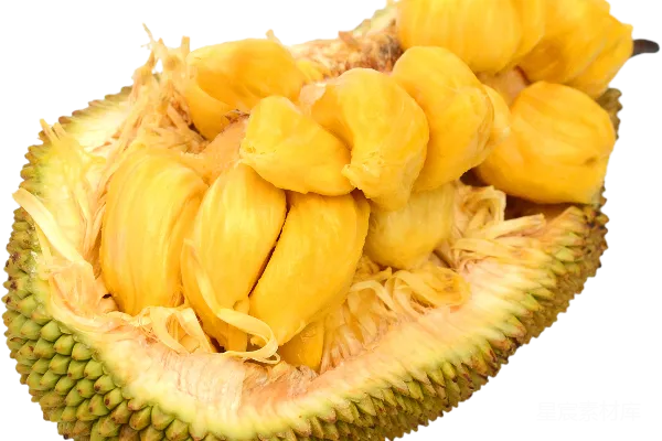 元素素材 jackfruit