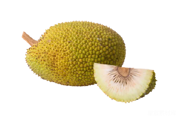 元素素材 jackfruit