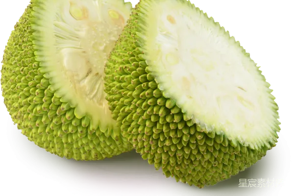 元素素材 jackfruit