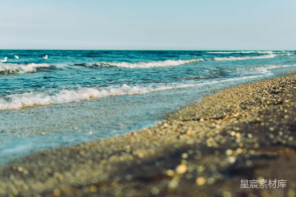 高清摄影 海景的选择性焦点摄影