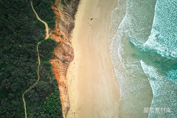 高清摄影 海滩和一片森林的空中俯视图