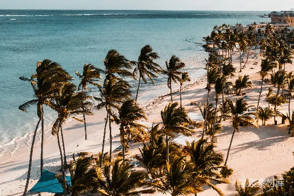 高清摄影 海面前有绿树