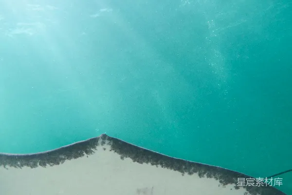 高清摄影 海洋中的一条海沟鱼在游泳