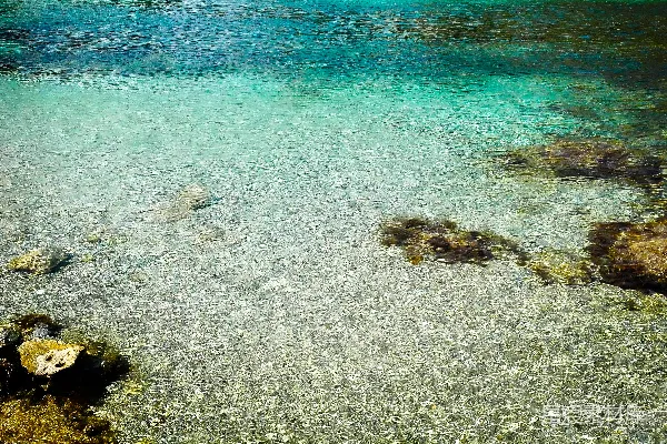 高清摄影 海滩上的棕色和黑色岩石
