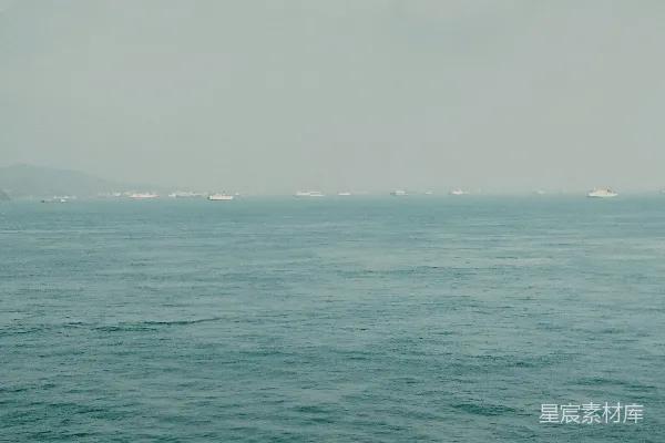 高清摄影 几只鸟飞过一大片水域
