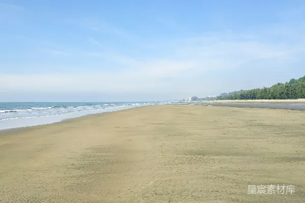 高清摄影 有树的沙滩和水