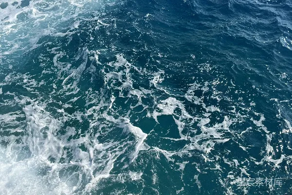 高清摄影 海边岩石旁有一只鸟坐在石头上。