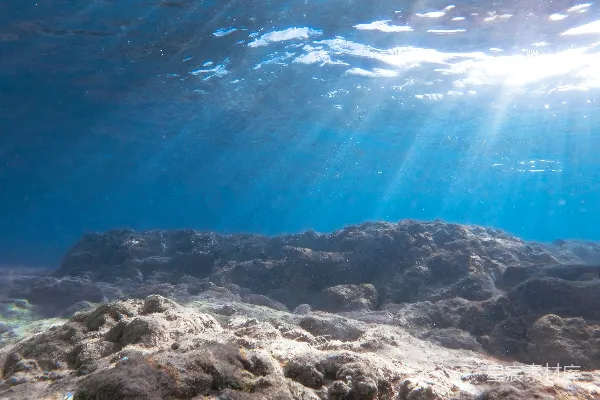高清摄影 阳光穿透海洋水体洒在岩石海底。