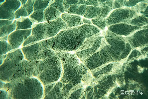 高清摄影 一个池水的特写镜头