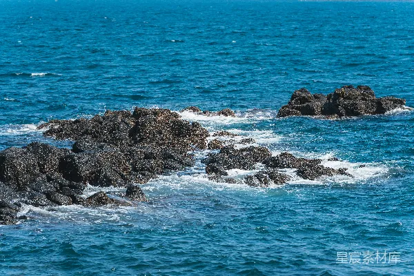 高清摄影 一只鸟坐在海洋中央的一块岩石上