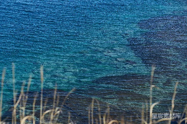 高清摄影 白天近水体的绿色草地