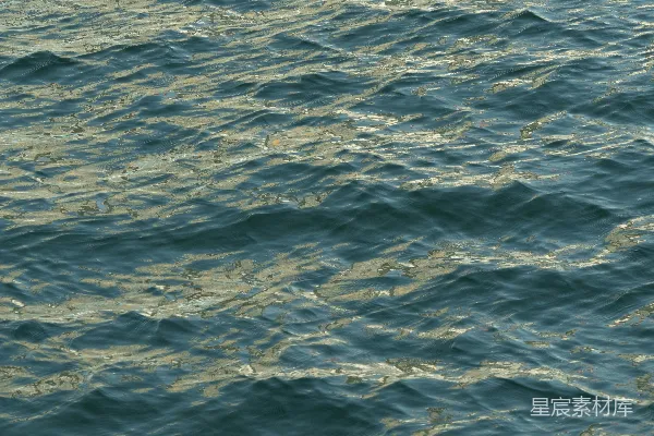 高清摄影 海面上轻柔的波浪