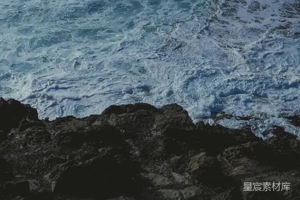 高清摄影 海边岩石上的一只鸟儿