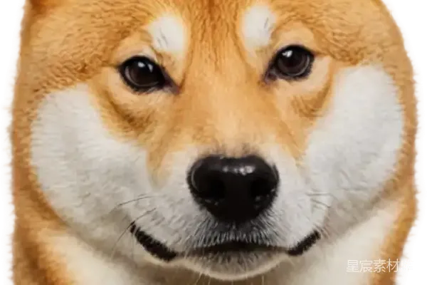 元素素材 狗狗币