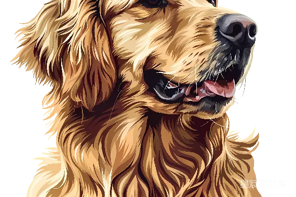 元素素材 黄金