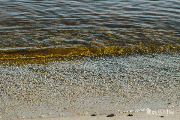 高清摄影 白天水体表面的棕色沙粒