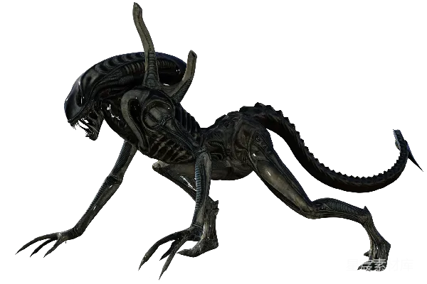 元素素材 异形生物