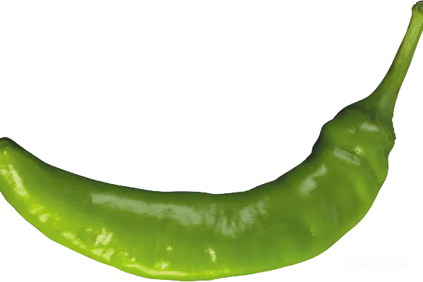 元素素材 jalapeño