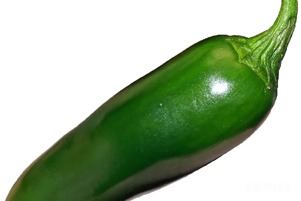 元素素材 jalapeño