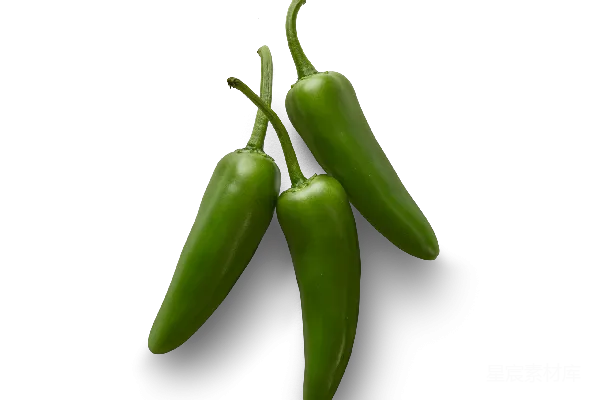 元素素材 jalapeño