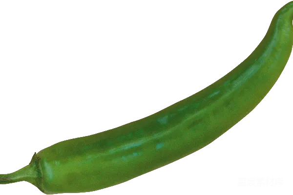 元素素材 jalapeño