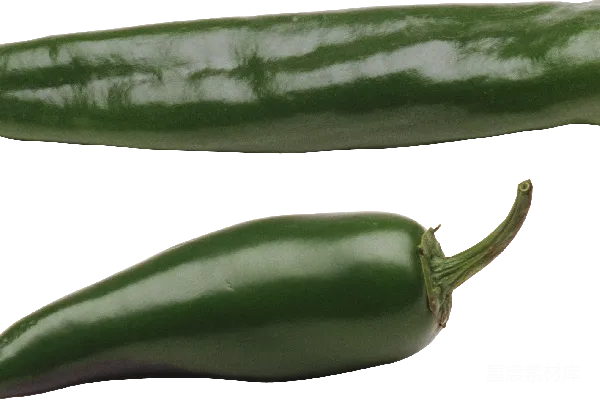 元素素材 jalapeño
