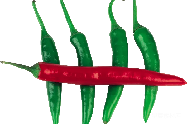 元素素材 jalapeno椒子
