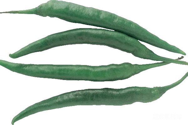 元素素材 jalapeño椒