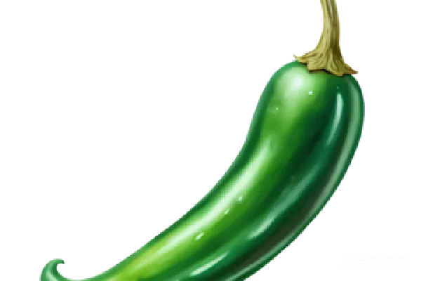 元素素材 jalapeño