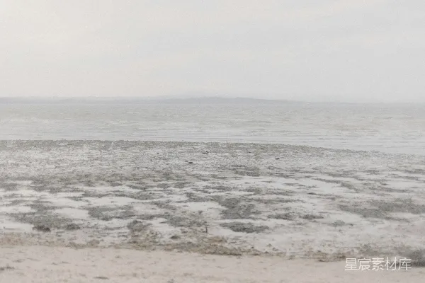 高清摄影 海边一个人站在沙滩上拿着冲浪板