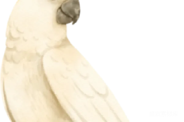 元素素材 金刚鹦鹉