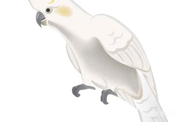 元素素材 透明