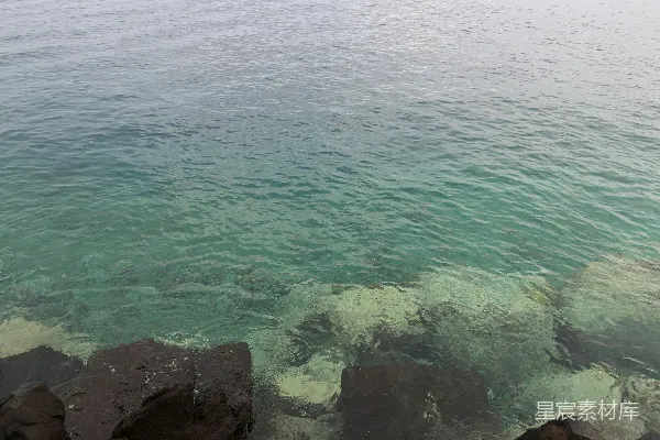 高清摄影 有岩石的水域