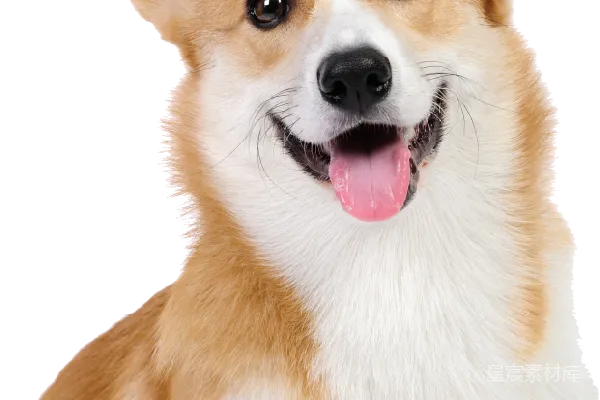 元素素材 威尔士