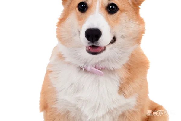 元素素材 透明的