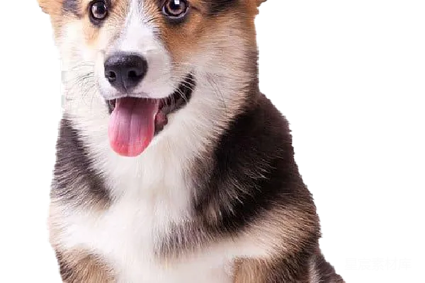 元素素材 威尔士