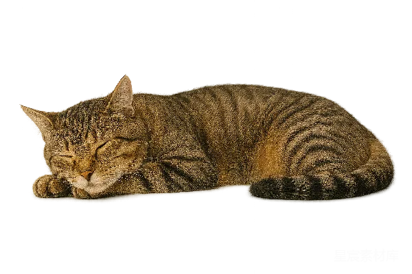 元素素材 透明