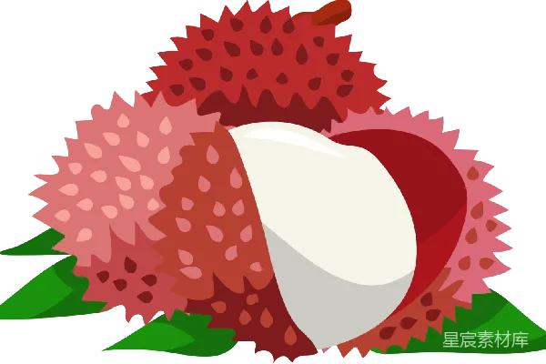 元素素材 荔枝