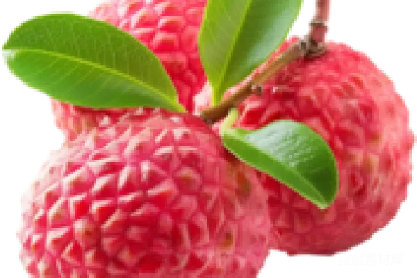 元素素材 荔枝