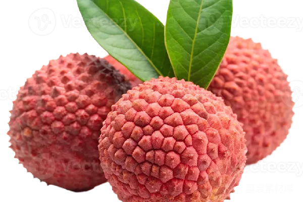 元素素材 荔枝